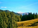 Akdamla yayla