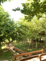 Kirazlı Bahçe Aile Piknik Alanı