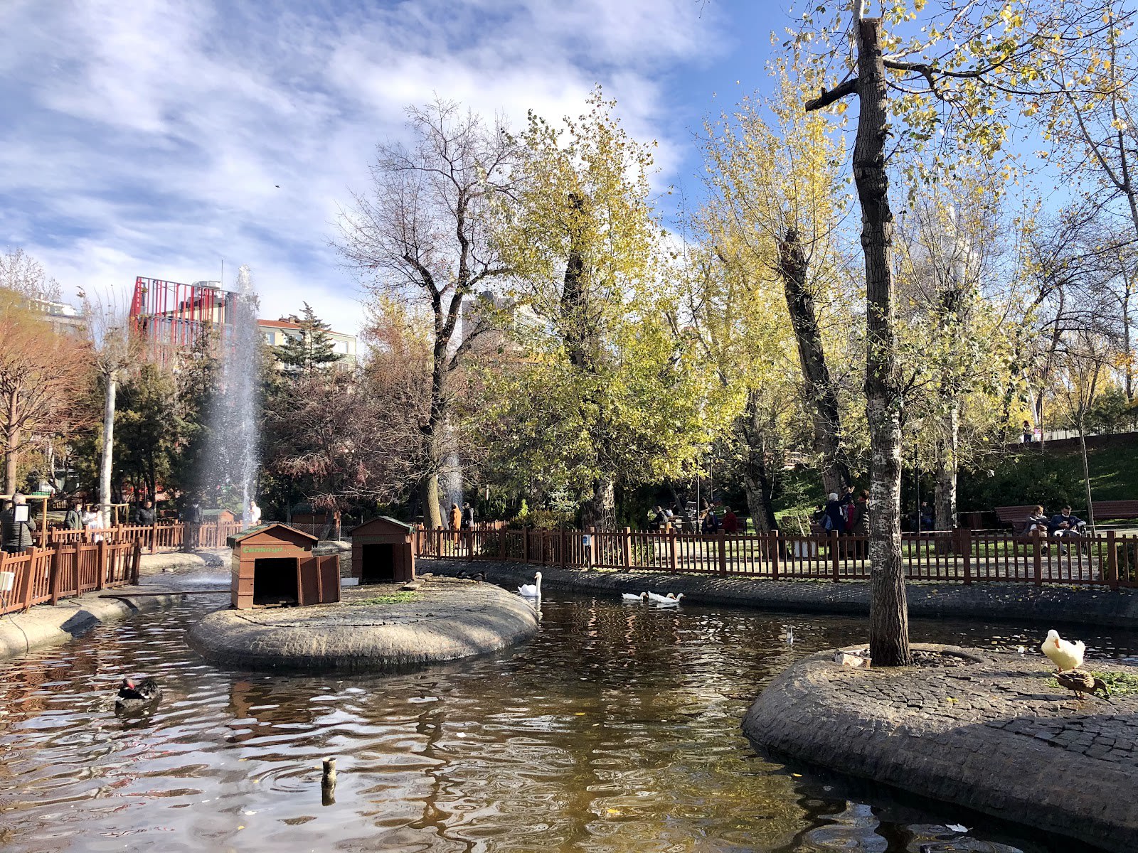 Kuğulu Park — Ankara doğa ve parklar