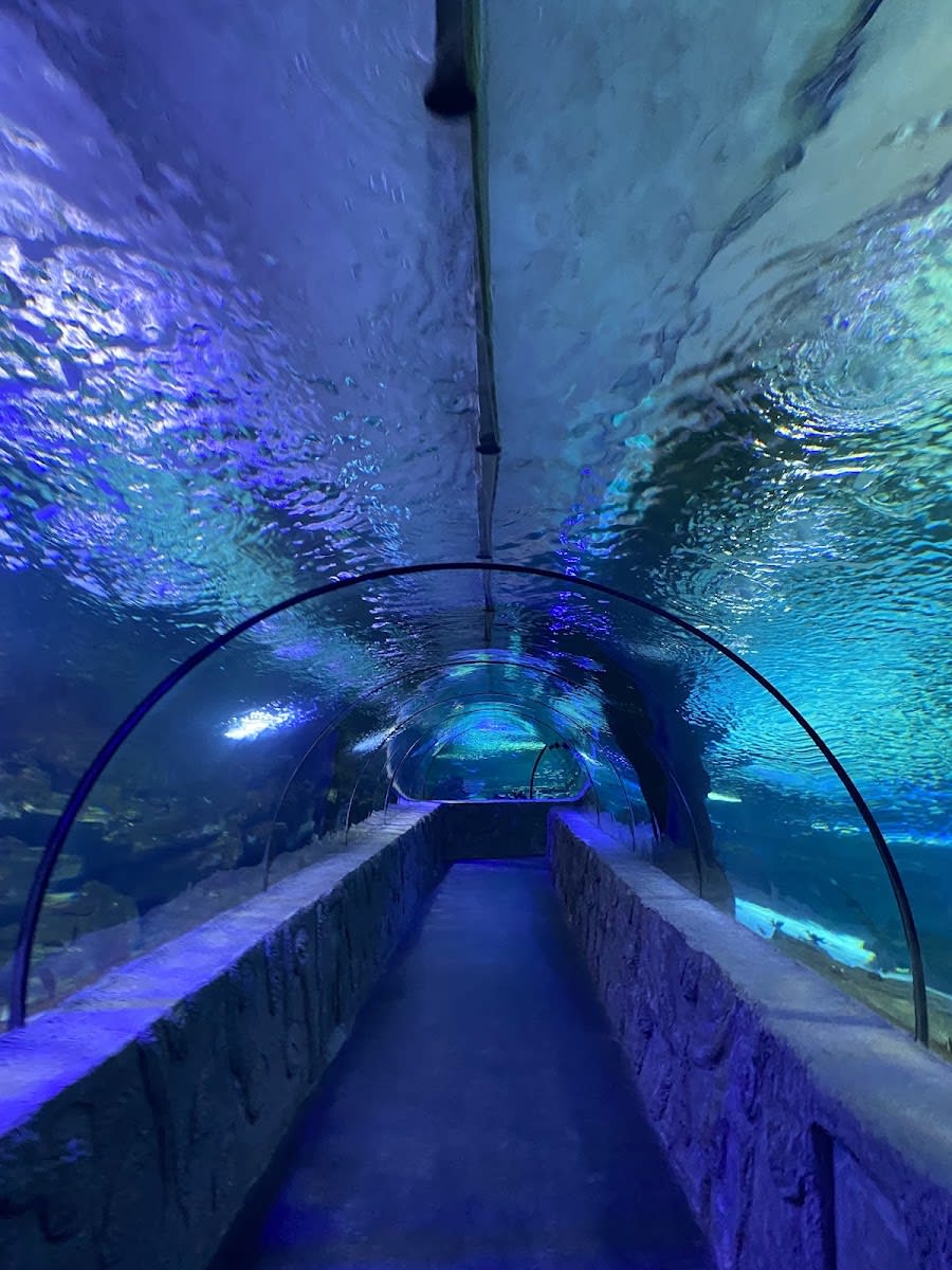 Aqua Vega Akvaryum — Ankara yapılar