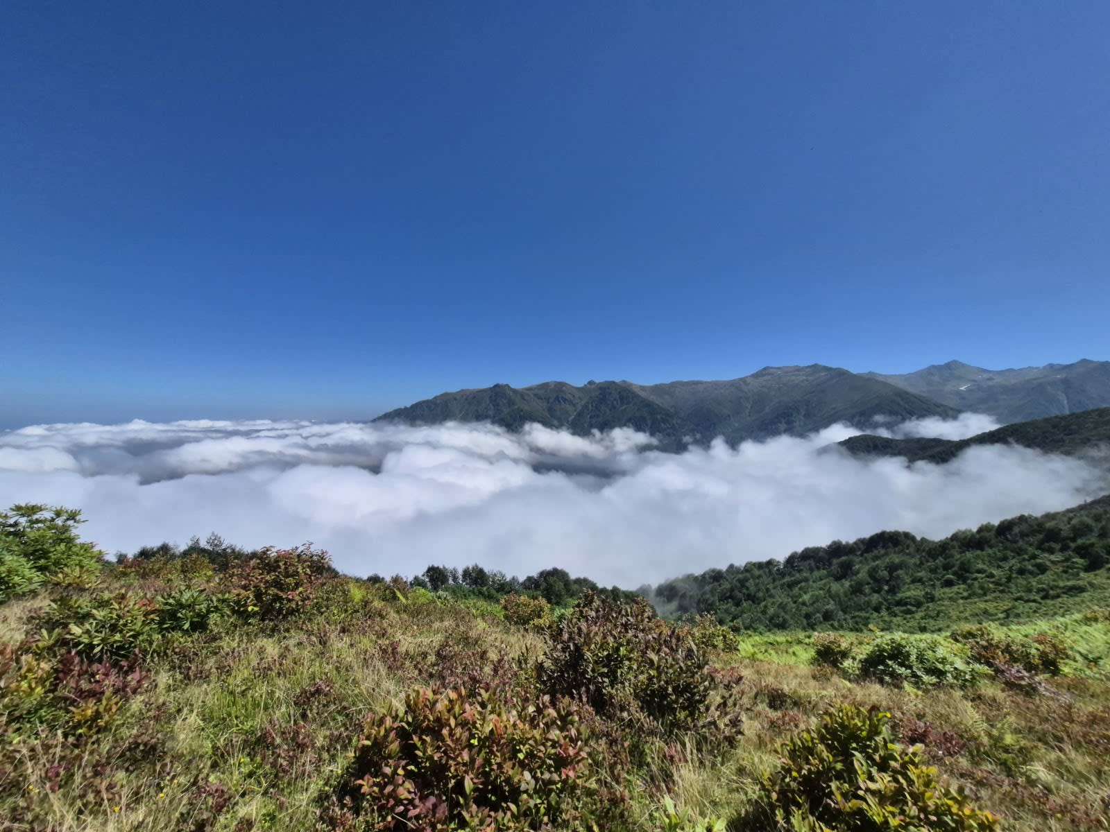 Siprona Yaylası — Rize doğa ve parklar