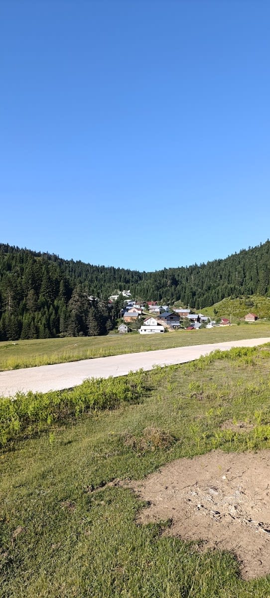 Çiğdem Yaylası — Sakarya doğa ve parklar