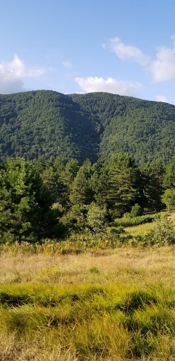 Kırca Yaylası — Sakarya doğa ve parklar