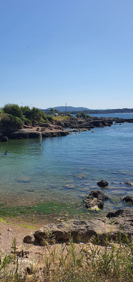 Kapri Koyu Bahçesi — Kocaeli plajlar