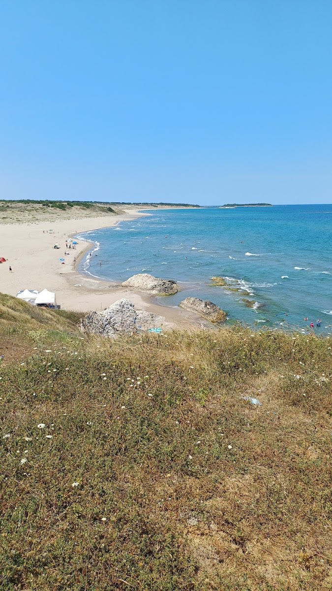 Cebeci Uzunkum Plajı — Kocaeli plajlar