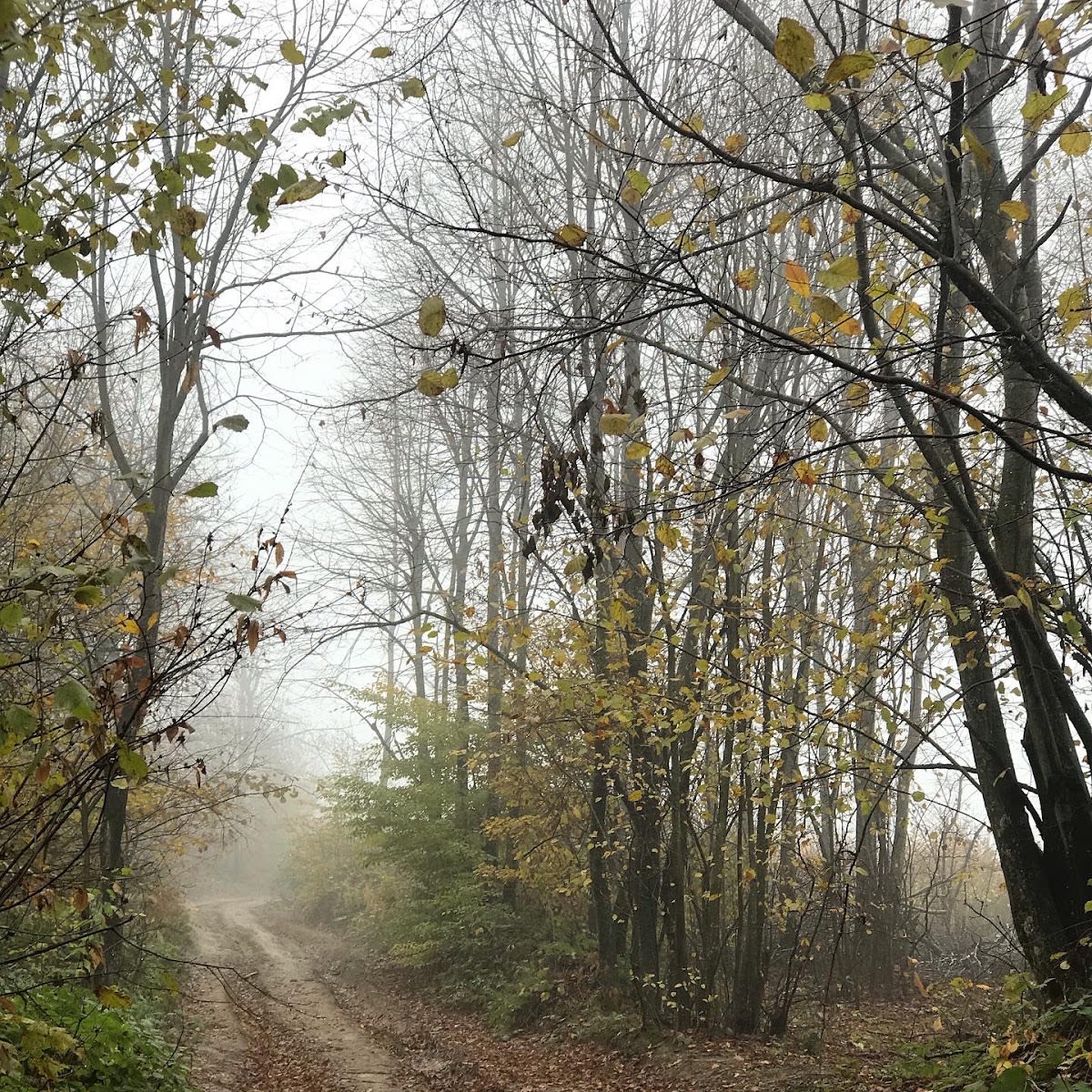 Samanlı Dağları — Bursa doğa ve parklar