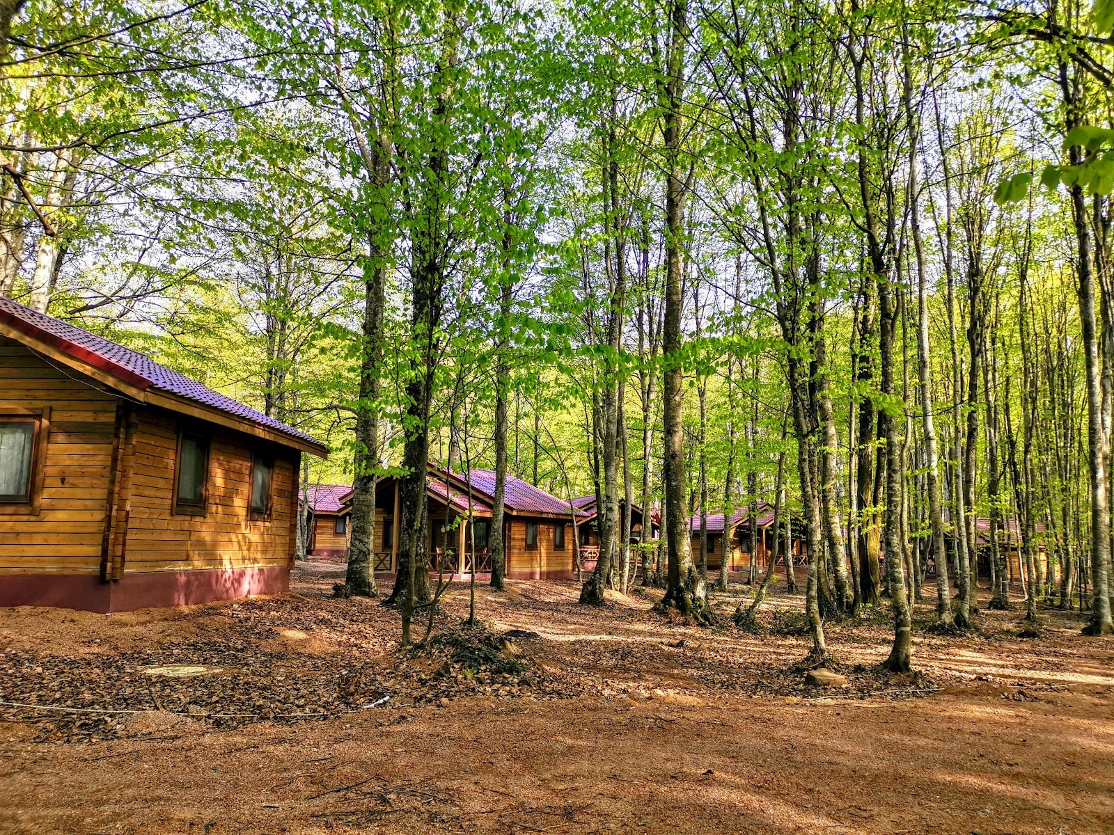 Eriklitepe Tabiat Parkı — Kocaeli doğa ve parklar