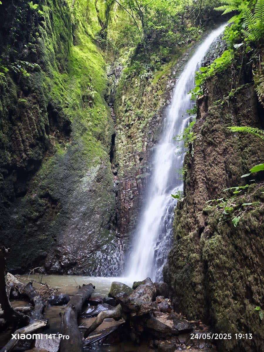Nüzhetiye Şelalesi Trekking Parkuru — Kocaeli doğa ve parklar