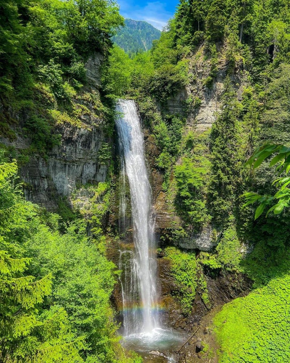 Maral Şelalesi — Artvin doğa ve parklar