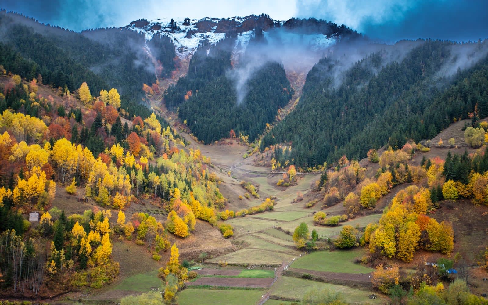 Tepebaşı Yaylası (Sakoriya) Yaylası — Artvin doğa ve parklar