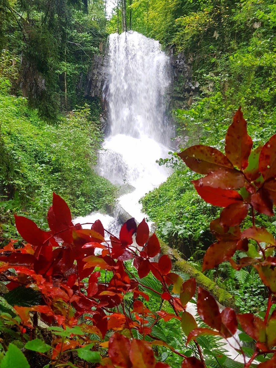 Efeler Şelalesi — Artvin doğa ve parklar