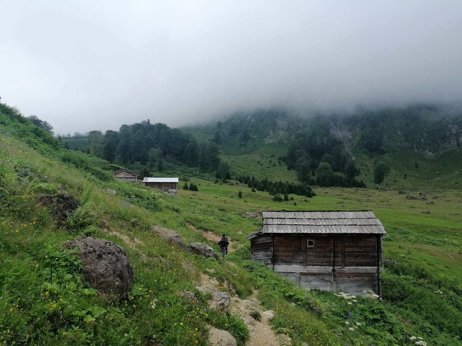Görgit Yaylası — Artvin doğa ve parklar