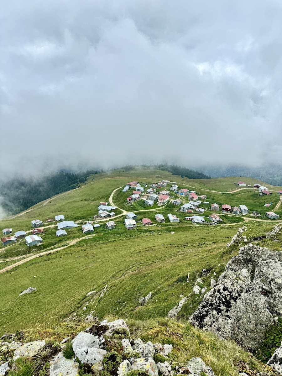 Erenler (İrsa) Yaylası — Artvin doğa ve parklar