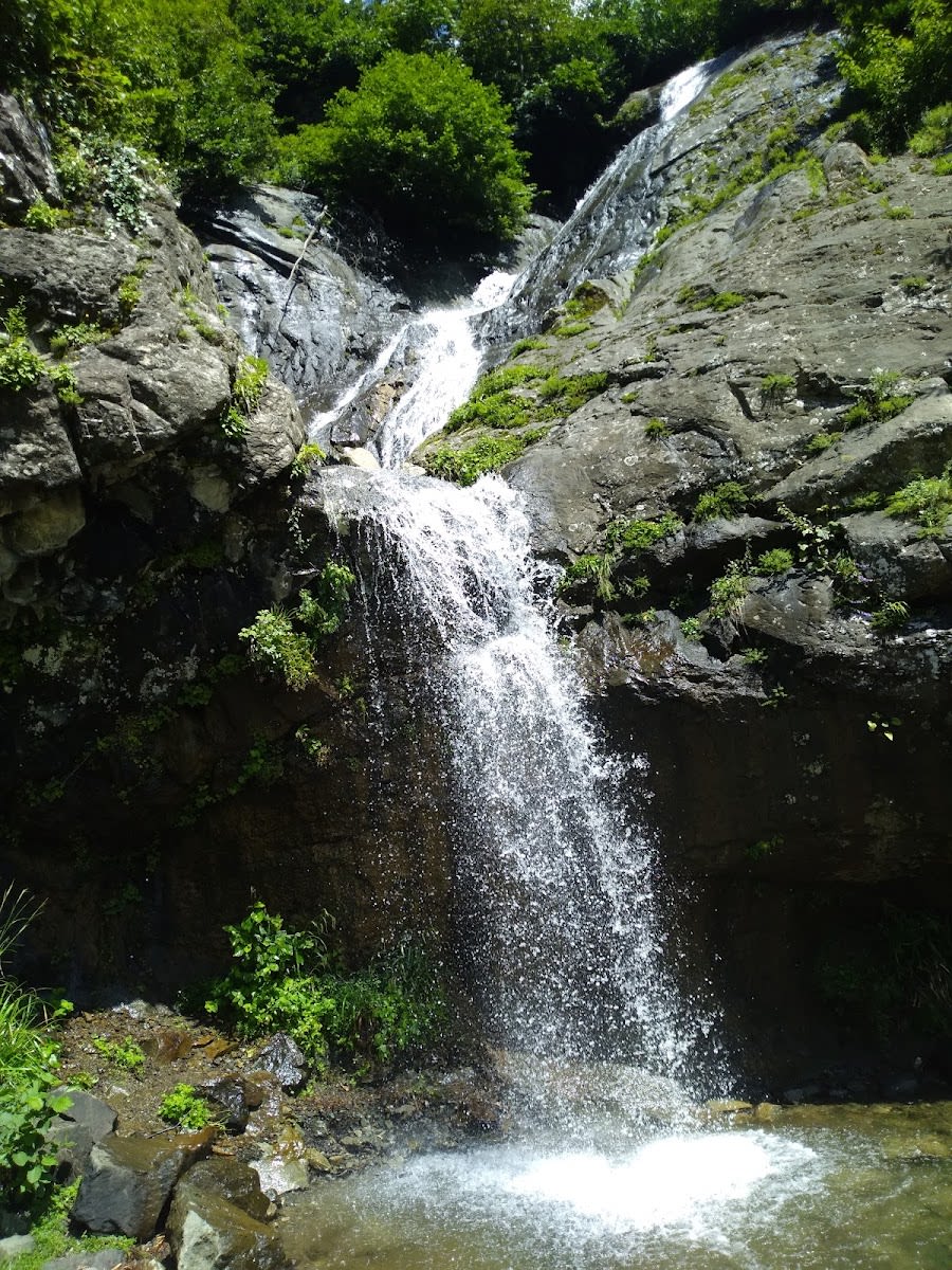 Bardnala Şelalesi — Artvin doğa ve parklar