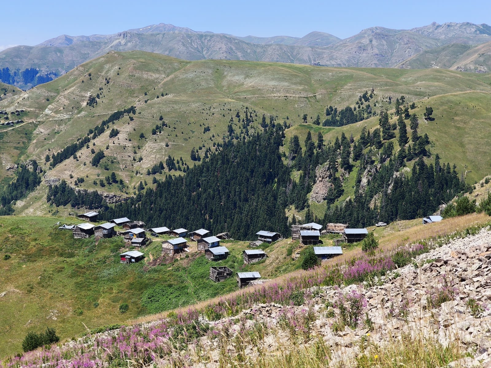 Çağlıpınar Yaylası — Artvin doğa ve parklar