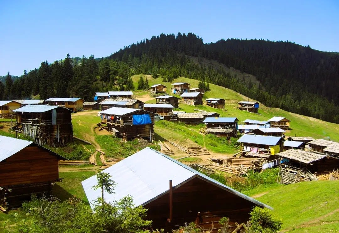 Akdamla yayla — Artvin doğa ve parklar