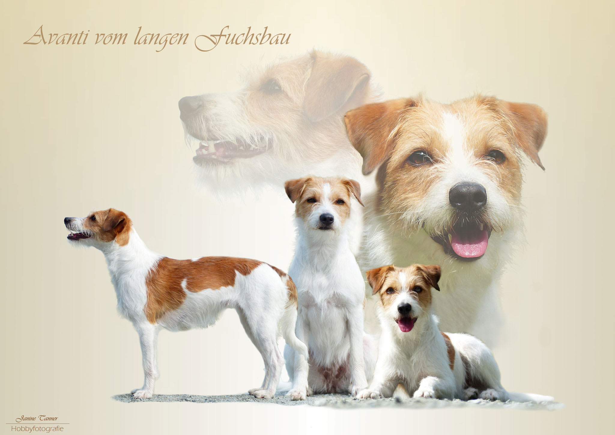 Avanti vom langen Fuchsbau