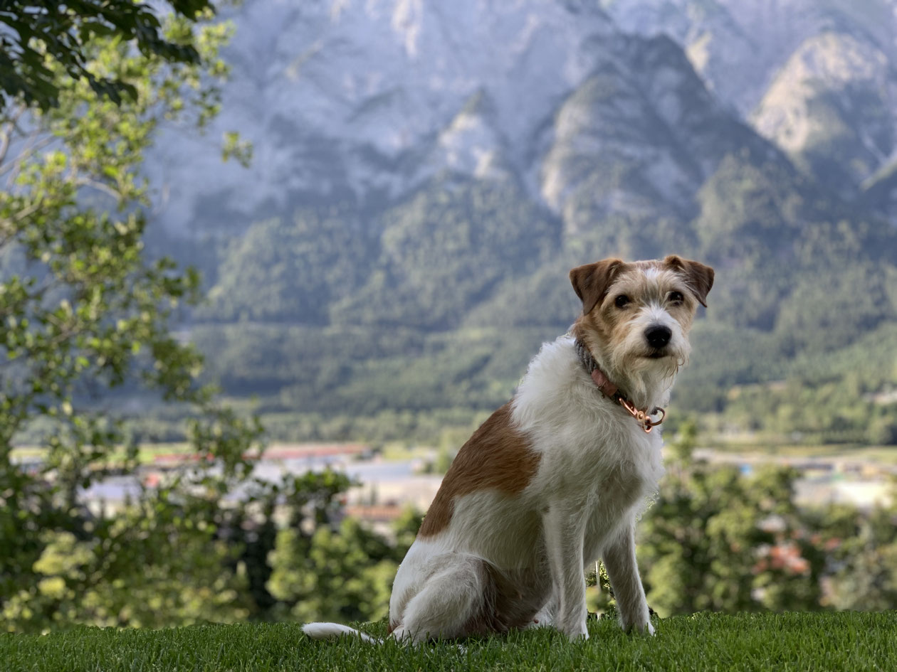 Avanti vom langen Fuchsbau - Foto 1