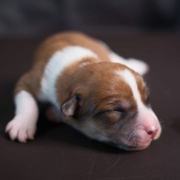 Woche 1: Dscf0340 oygxca