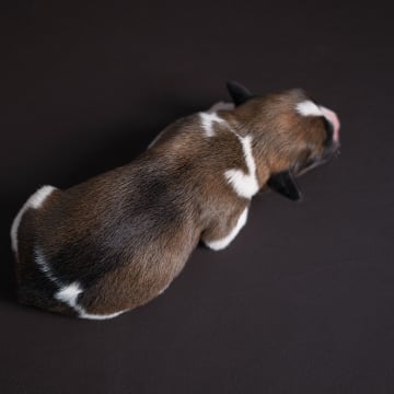 Woche 1: Dscf0342 jqhp1r