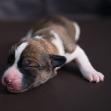 Woche 1: Dscf0350 jrdome