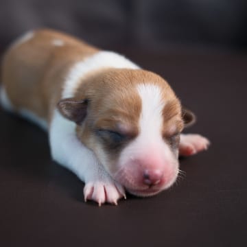 Woche 1: Dscf0354 xszhe1