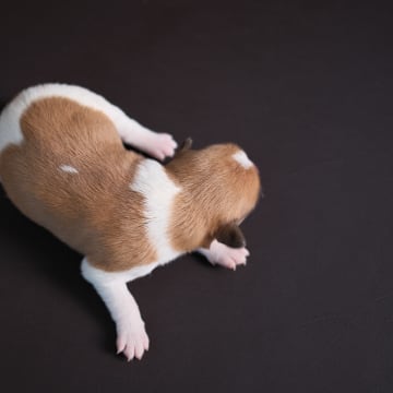 Woche 1: Dscf0356 me06s1