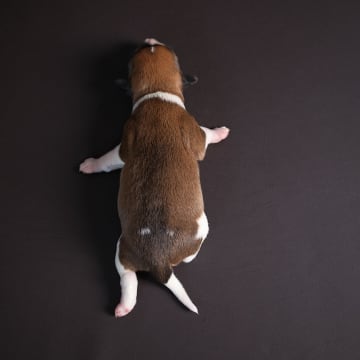 Woche 1: Dscf0360 knsn6k