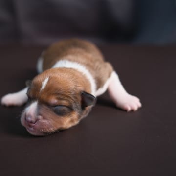 Woche 1: Dscf0364 d30d9c