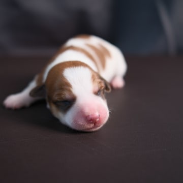 Woche 1: Dscf0367 vxmja0