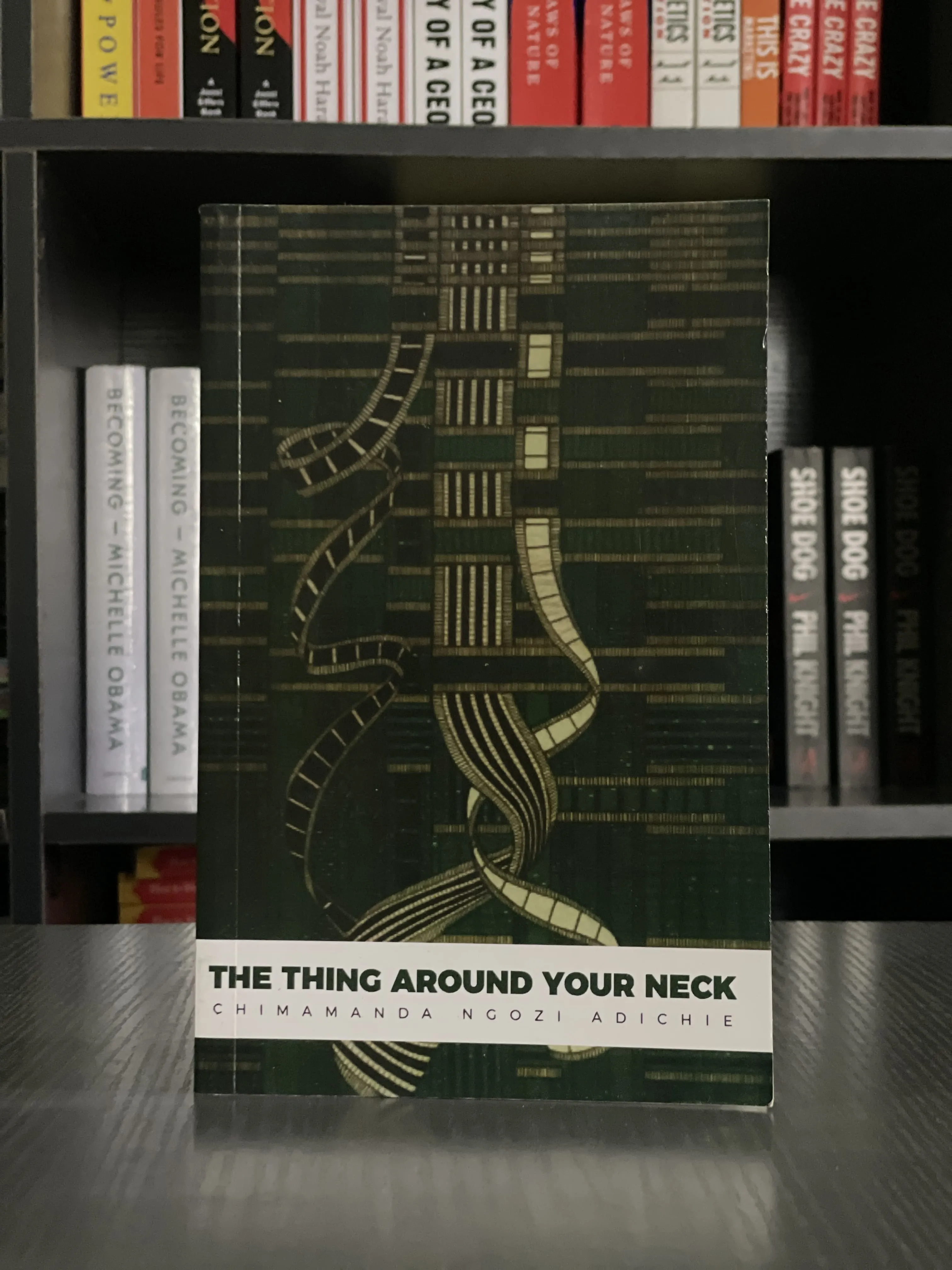 Cover of The Thing Around Your Neck by Chimamanda Ngozi Adichie