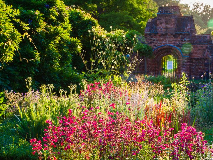 The tudor gate and knot garden in the late afternoon sun