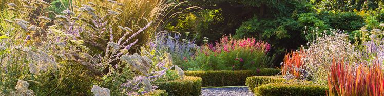 knot garden full of colourful plants at dusk