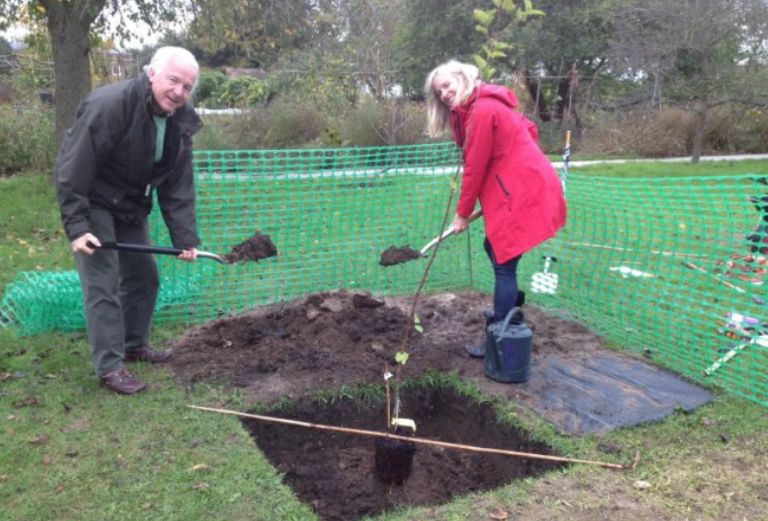 gordon and paula edington planting an apple tree in the new orchard