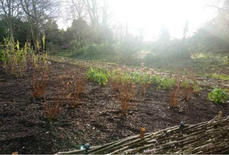 a newly planted plant bed in the morning sunshine