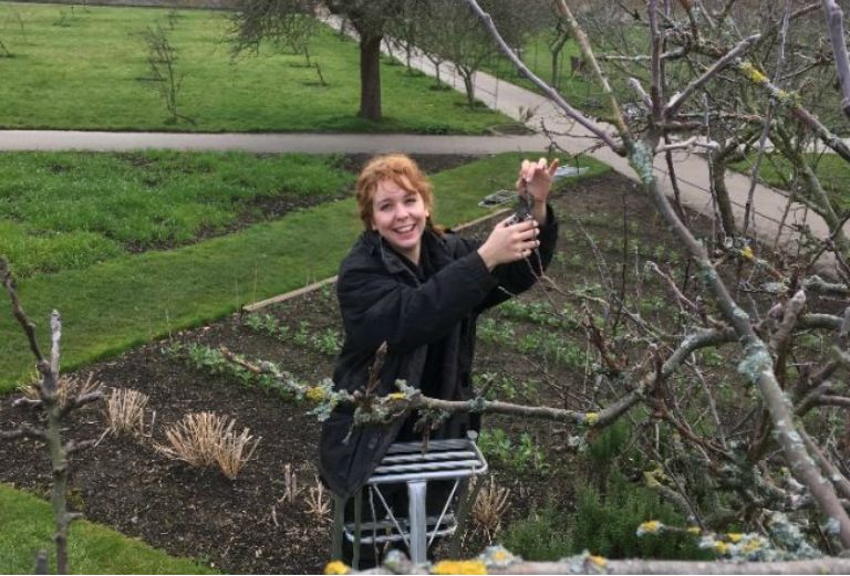 garden apprentice smiles while pruning an apple tree