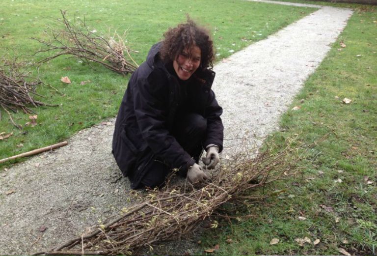 garden apprentice bundling coppiced hazel