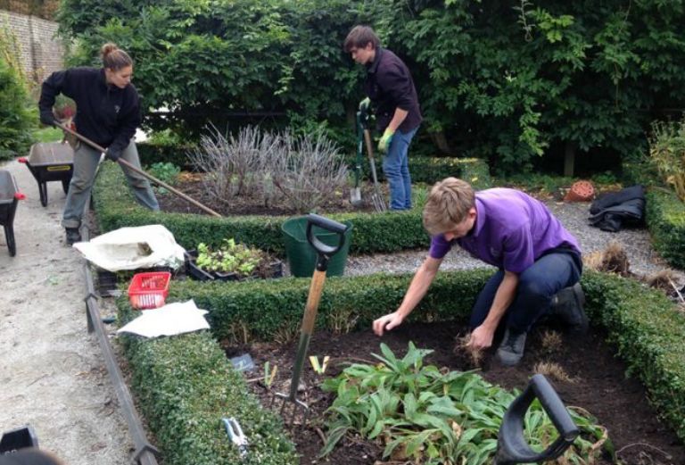 garden apprentices lift and divide plants in the knot garden