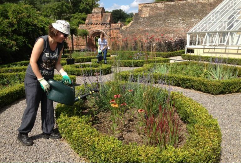 garden volunteers watering the knot garden on a sunny day