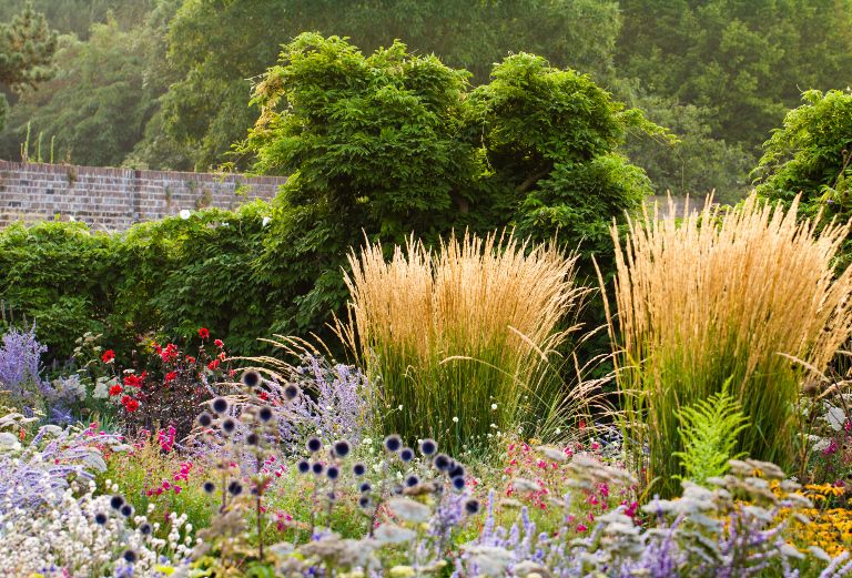 the knot garden during the height of summer