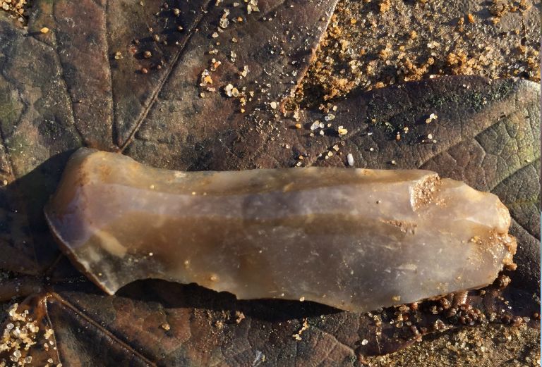 a late mesolithic early neolithic struck flint sitting on a brown leaf