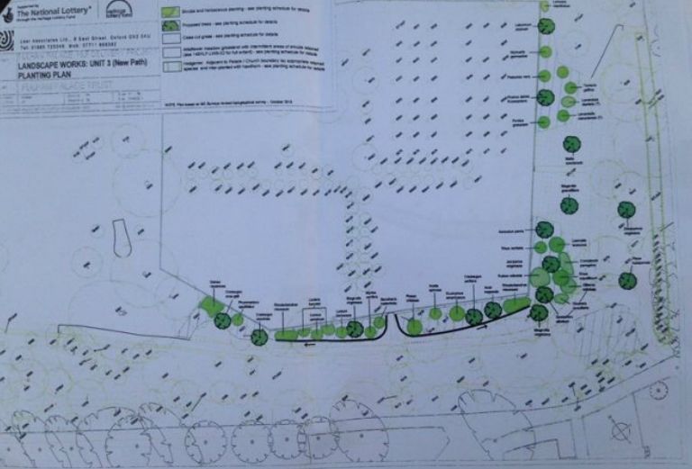 phase 3 tree management plan