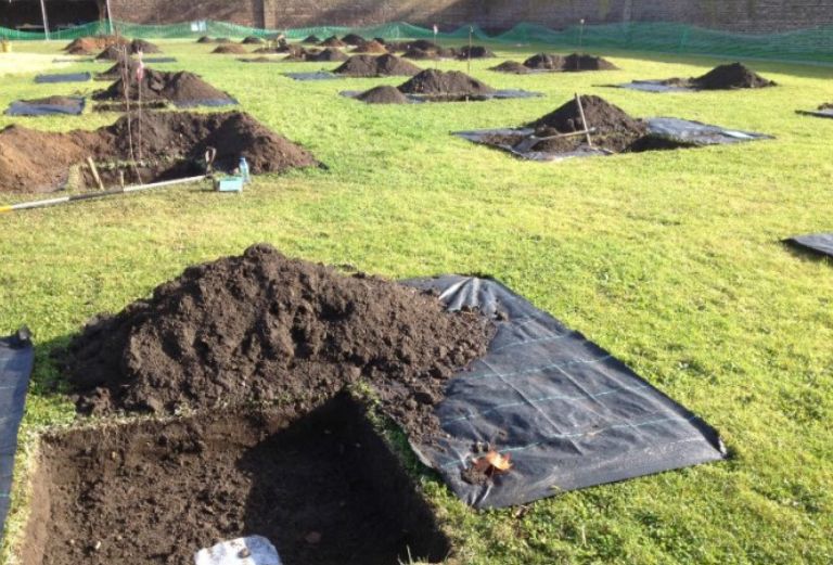 tree pits dug during the 2014 orchard archaeology dig