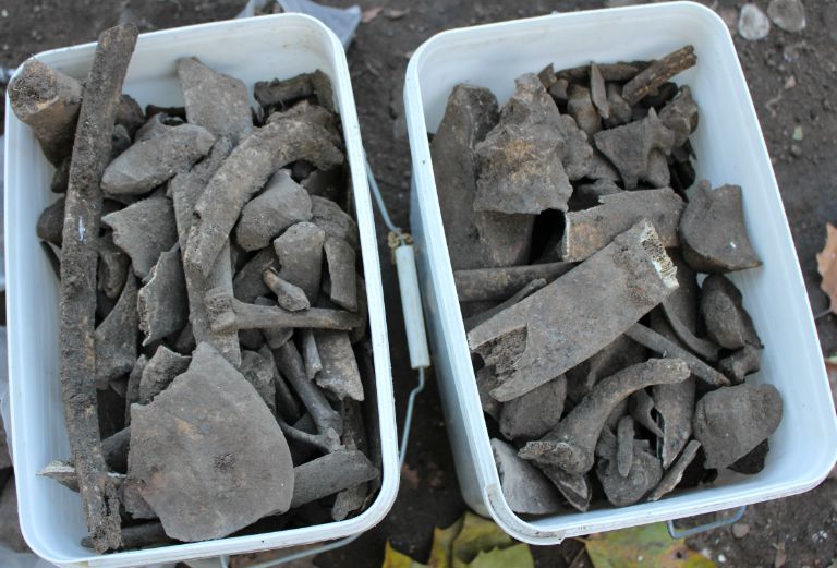two white rectangular buckets filled with old animal bones