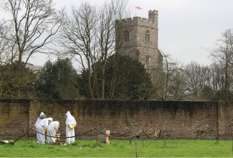 volunteer beekeepers inspect the aviary in the orchard