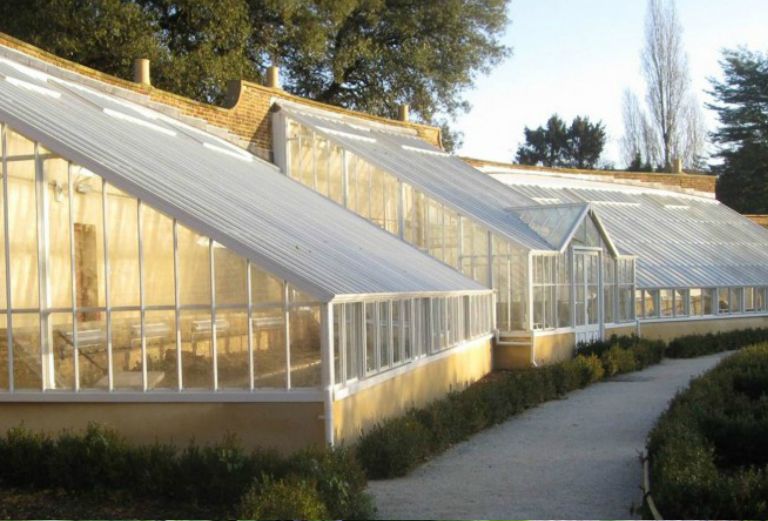 the vinery on a misty morning