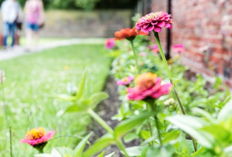 Pink flowers are in the foreground, and in the background you can see a garden and two people walking