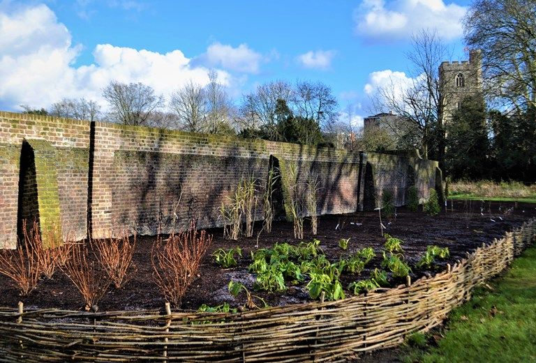 A planting border next to a wall with small plants growing behind a 1 ft tall woven fence.