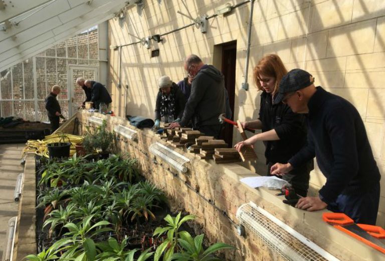 garden volunteers in the vinery building wooden bird boxes