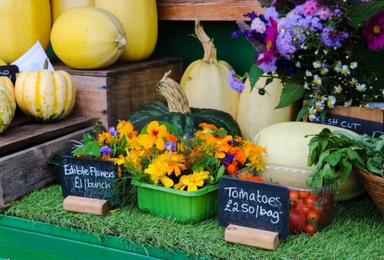 Photo competition - a photograph of the market barrow, showing pumpkins and squash, edible flowers and tomatoes all for sale